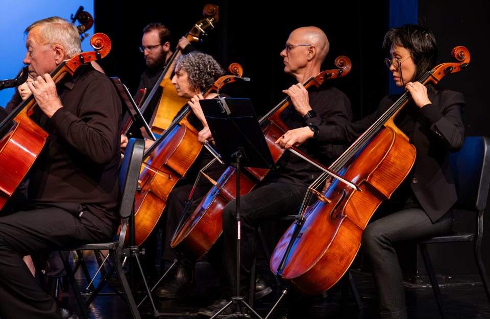 The cello section of Strings Attached Orchestra playing in concert