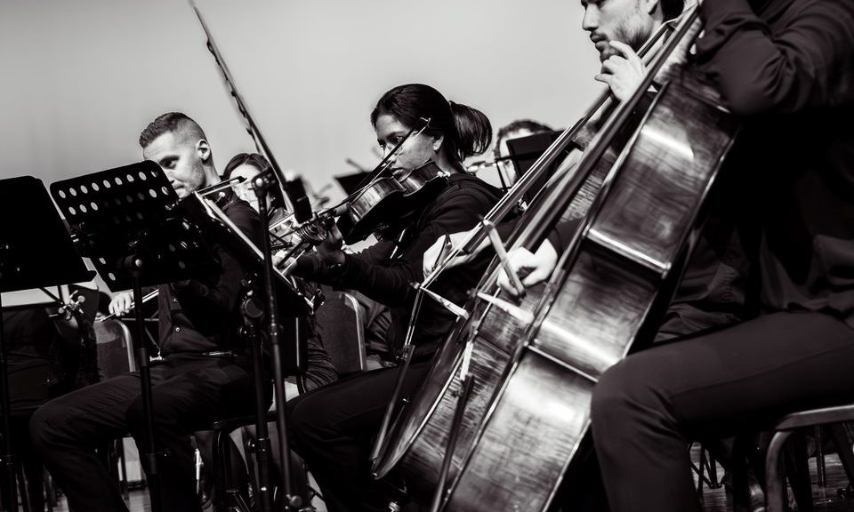Foreground has a cello, with more orchestra members in the background