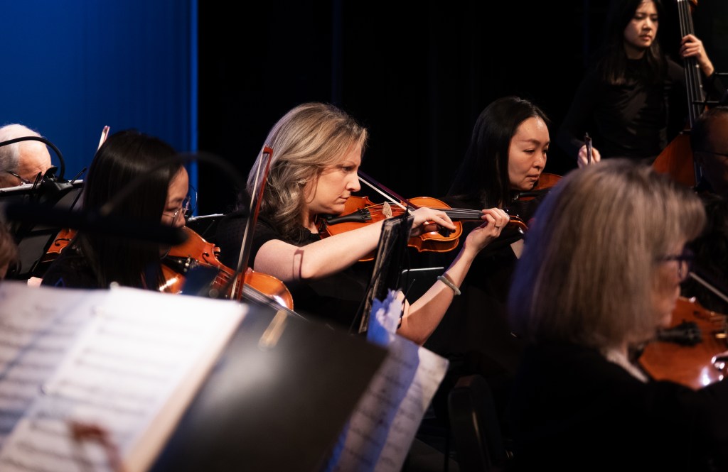 The violin section playing during the concert
