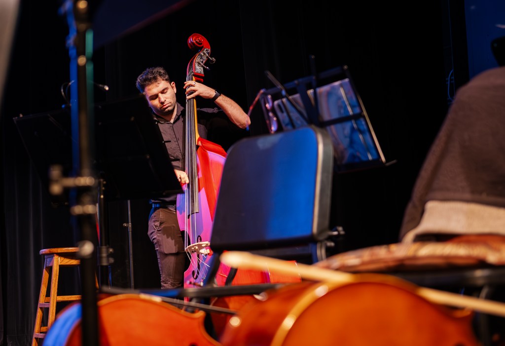 A double bass player performing