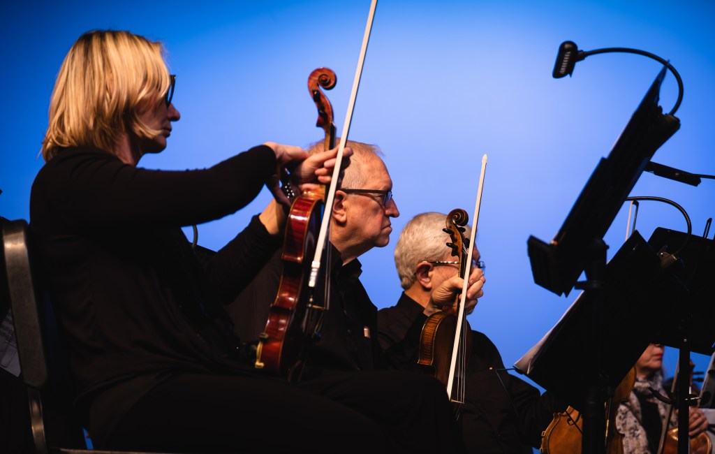 Viola players playing against the blue backdrop