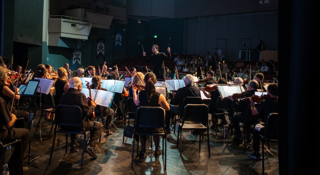 The orchestra in performance, seen from the side of the stage