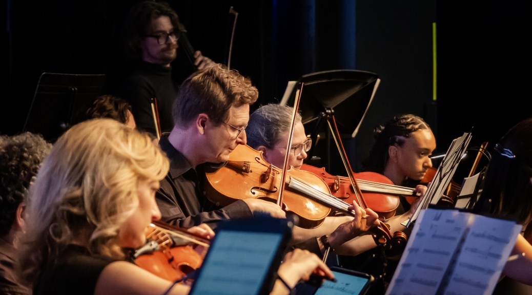 The violin section playing during the concert
