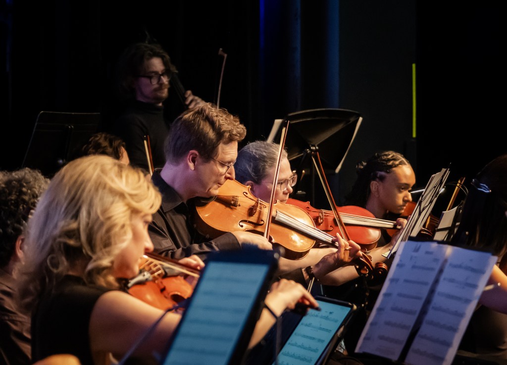 The violin section playing during the concert