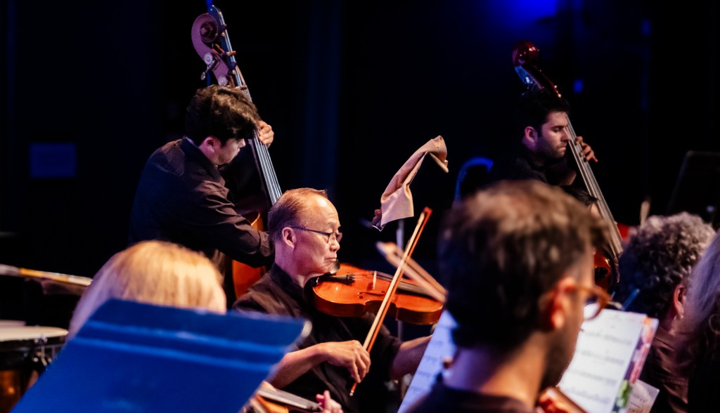 Violinists and double bass players performing