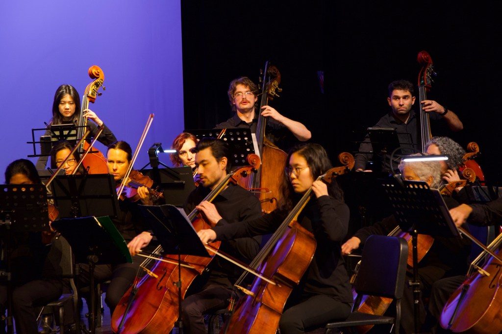 Cellists and double bass players performing under lavender light