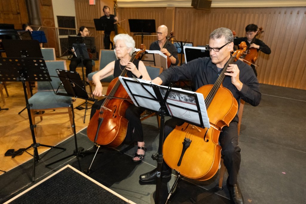 Cellists and bassists in performance