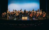 Photo: the full orchestra at the 2024 Holiday Concert