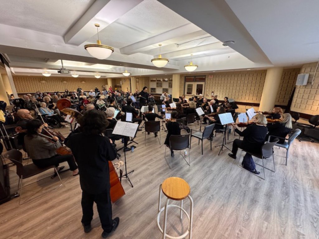 The orchestra and audience at Cummer Lodge